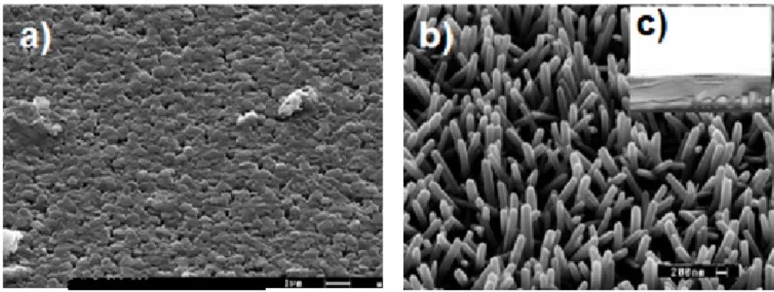 Figure 2 : Photos MEB illustrant l’effet de la concentration du sel de zinc sur la morphologie du film : a) Film 
