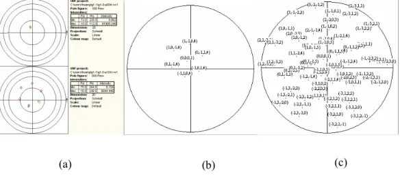 Figure 3-1 : Figures des pôles des plans d’un grain de Zinc 