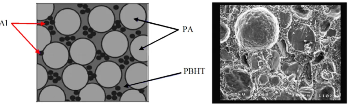Fig. 1.6: A gauche vue sch´ ematis´ ee d’un propergol de type Butargol (Simoes, 2005) et ` a droite vue au microscope optique grossissement ×100 (Doc