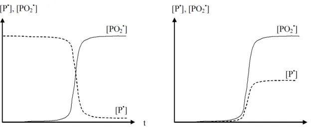 Fig. 2.10: Allure g´ en´ erale des courbes cin´ etiques de variation de [P • ] et [P O 2 • ]