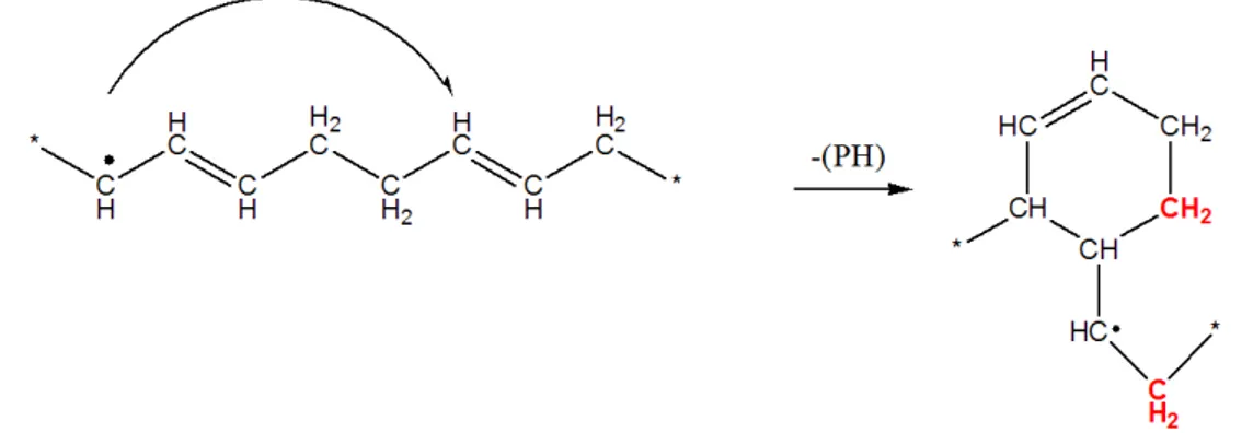 Fig. 2.14: Addition intramol´ eculaire d’un radical alkyle sur une double liaison 1-4 dans un polybutadi` ene.