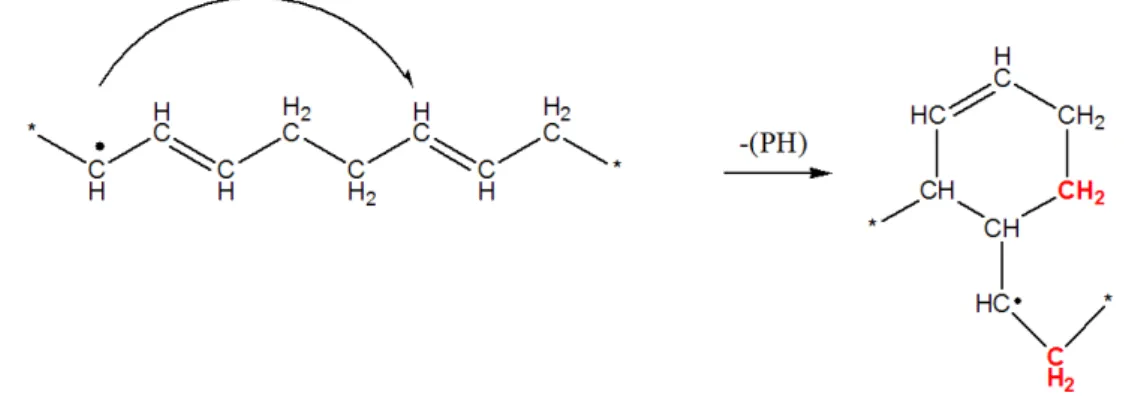 Fig. 2.14: Addition intramol´ eculaire d’un radical alkyle sur une double liaison 1-4 dans un polybutadi` ene.