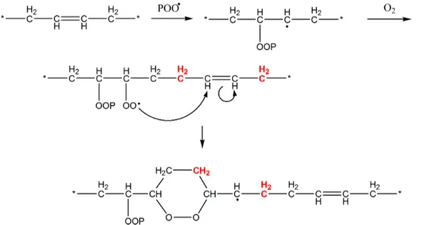 Fig. 2.16: Addition intramol´ eculaire d’un radical peroxyle sur une double liaison selon le m´ ecanisme de Mayo (Mayo, 1960).