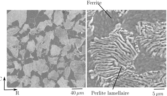 Fig. 2.4  Mi
rostru
ture de l'a
ier ER7 (mi
ros
opie à balayage éle
tronique après attaque