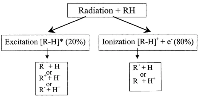 Figure 2. Initial events induced by a fast charged particle that penetrates an organic  or biomolecular solid composed of molecules RH (H  =  hydrogen,  R  =  rest of molecule)