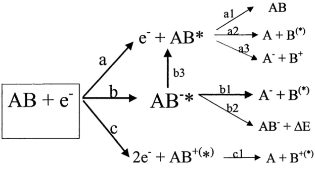 Figure  4.  Energy  transfer  and  unimolecular  fragmentation  pathways  that  follow  LEE  interaction with a molecule AB