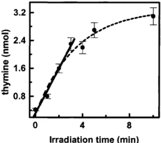 Figure  2.  Time  course  of thymine  formation  by LEE.  dThd  was  exposed  to  15  eV  electrons at a constant electron beam flux of  10.6  µA  =  6.6  x  10 13  electrons