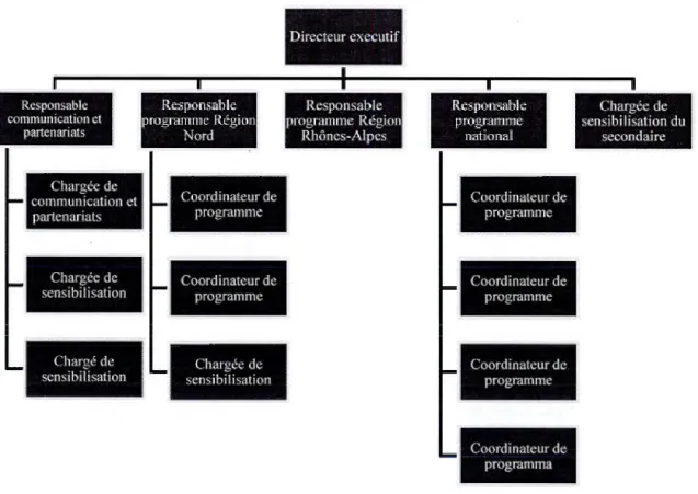 Figure  3.1  :Organigramme de  l'or g anisation Enactus France  Responsable  commumcat•on et  partenanats  Chargée de  communication ct  partenariats  Chargée de  sensibilisation  Chargé de  sensibilisation  Responsable  programme  Région Nord 1 1  Coordin