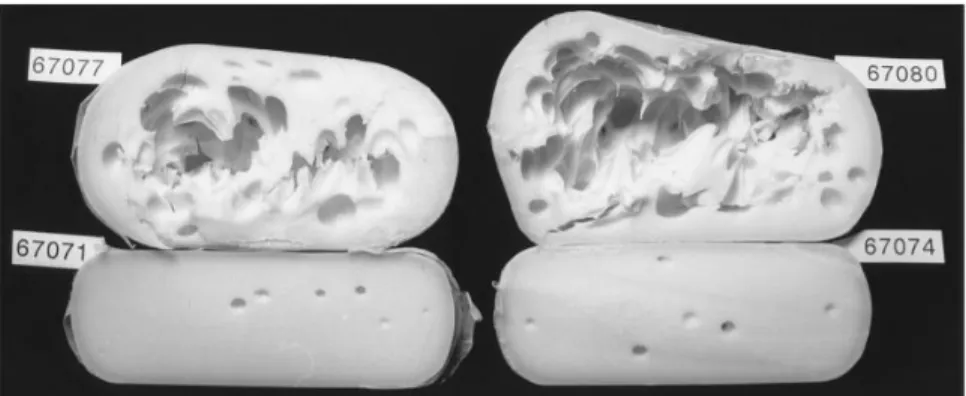 Figure 8 : Gonflement de fromages (67077 et 67080) en présence de Clostridium 