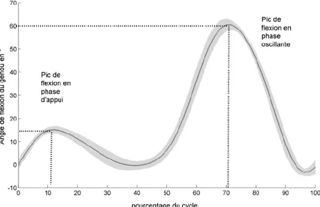 Figure II-15 Courbe et points d'intérêts: angle de flexion du genou (°) 