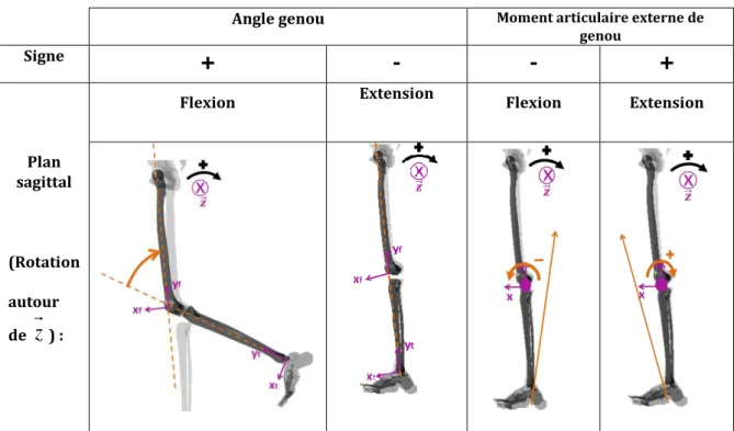 Figure II-19 : Signes de l’angle et du moment du genou dans le plan sagittal (position du fémur par rapport au tibia) (adapté  de Villa 2014) 
