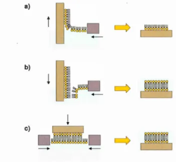 Figure 1.9  A)  Monocouche  et  B)  bicouche  s upportée s  obtenues  par  tran sfer t  Langmuir-Biodgett etC) bicouche formée  par transfert Langmuir-Schaeffer