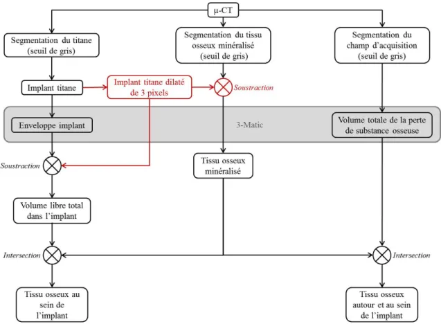 Figure II.34. Méthode de post-traitment des µCT scan prenant en compte les artefacts dûs au titane.