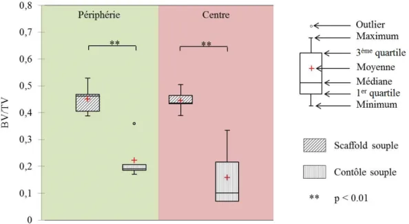 Figure II.49. Statistiques descriptives des BV/TV au centre et en périphérie des scaolds et des implants contrôles exibles.