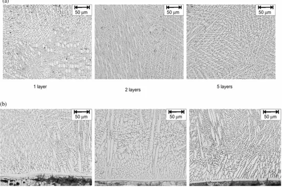 Figure 2.20: Typical solidication structure observed by Stellite-6 laser cladding (a) near the interface with the base metal(SS304) and (b) at the external surface ( D'Oliveira et al