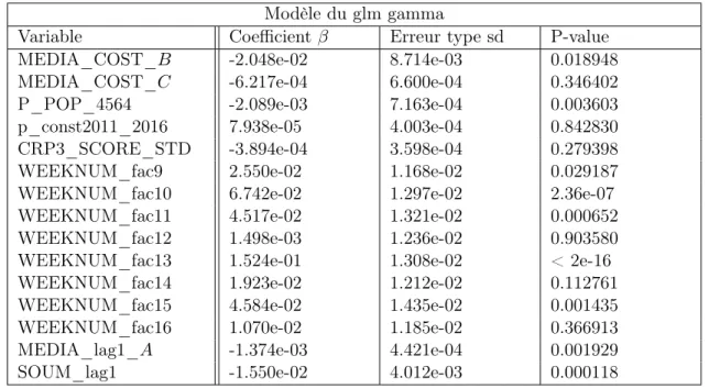 Table 4.10 – Résumé du modèle pour le score de propension de la méthode Moodie-Stephens, traitement avec masse à 0.