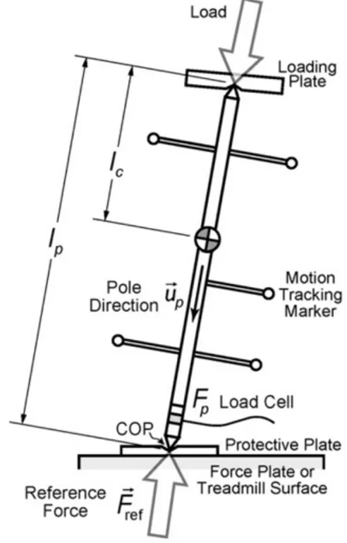 Figure 2.4. Perche instrumentée pour la calibration des plateformes de forces ( Collins et al