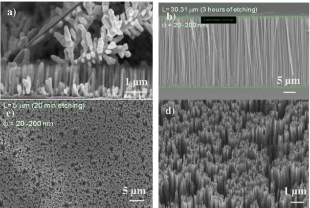 Figure  3-2:  (a)  SEM  picture  of  silver  dentrites  covering  the  SiNW  prior  the  HNO 3