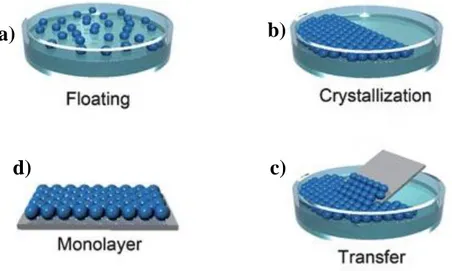 Figure  3-4:  Schematics  of  the  floating-transferring  technique  to  achieve  an  hexagonal compact arrangement of PS spheres on a silicon substrate [143]