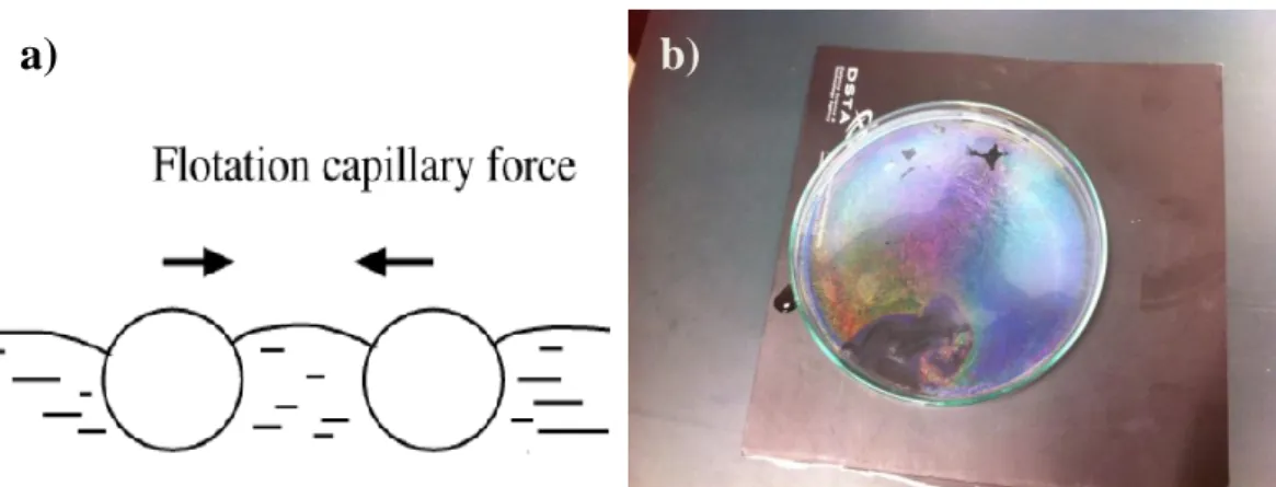 Figure  3-5:  (a)  Schematics  of  the  flotation  capillary  forces,  the  driving  force  for  the  self-assembly  of  the  PS  spheres  [147]