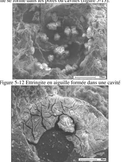 Figure 5-12 Ettringite en aiguille formée dans une cavité 