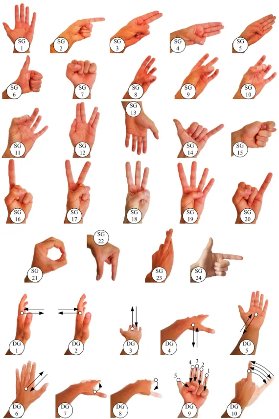 Figure 3.1: Representations of the library of 24 static and 10 dynamic gesture classes of the UC2017 SG/DG data set.