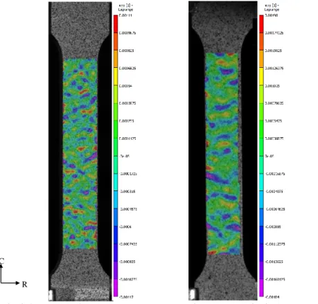 Figure 5 – Champs de déformation Ԑ YY  après un mouvement de corps rigide de 1 mm permettant de 