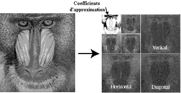 Figure Ch II - 9 : Décomposition d'une image en ondelettes en deux niveaux. 