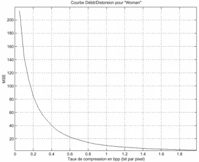 Figure Ch II - 33 : Exemple de courbe de performance de l'allocation Débit/Distorsion de JPEG2000
