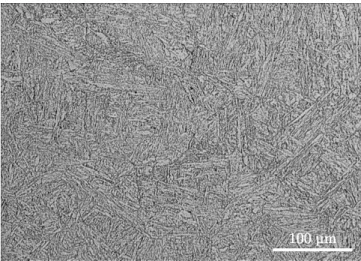 Fig. 2.1. Optical micrograph of P92 steel in the as-received condition. Villela etching.