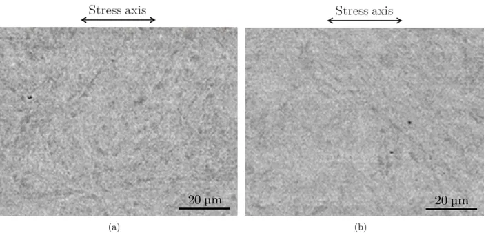 Fig. 2.5. Backscattered electron SEM pictures taken from logitudinal cross-section of (a) the as-received steel and (b) the homogeneously deformed part of the test 0 specimen.