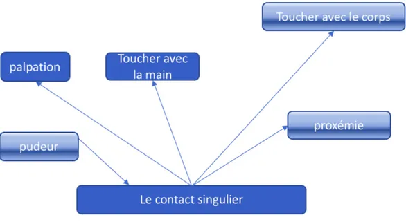 Figure 10 : Illustration du contact singulier  