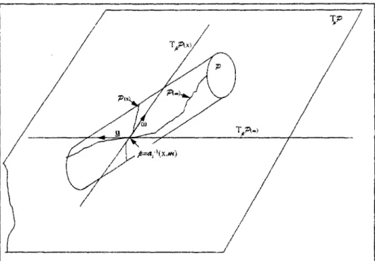 figure 2-2 représentation tridimensionnelle des vitesses virtuelles dans P 
