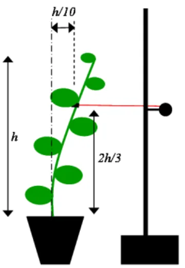 Figure 2.2 – Sch´ema des conditions du lˆacher appliqu´e journali`erement aux peupliers.