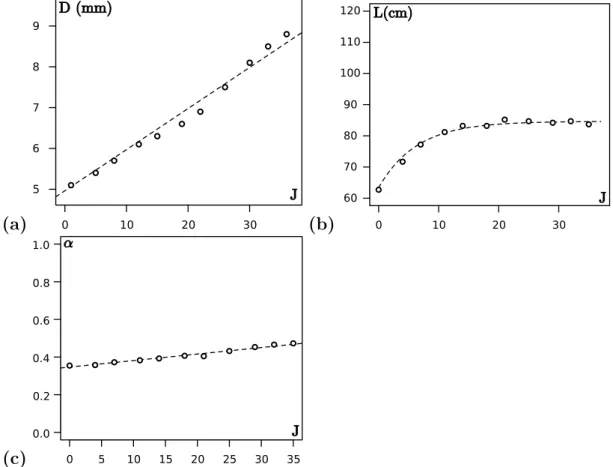 Figure 2.6 – Evolutions temporelles (a) du diam`etre `a la base, (b) de la longueur de la plante 1, et (c) du coefficient allom´etrique de d´efilement