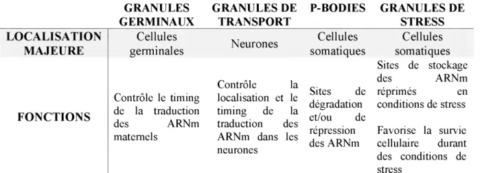 Tableau  2 : Les différents  types  de granules  à  ARN