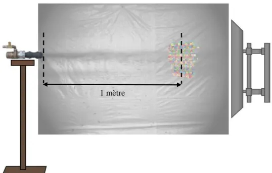 Figure 3.14 : Position des particules à 1 mètre de la sortie de la lance avec le logiciel ProAnalyst® 