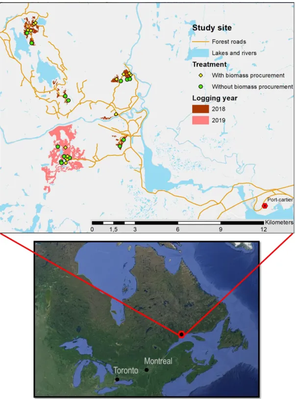 Figure 6 : Location of study site and sample plots (map from Google Earth Pro V-7.3). 