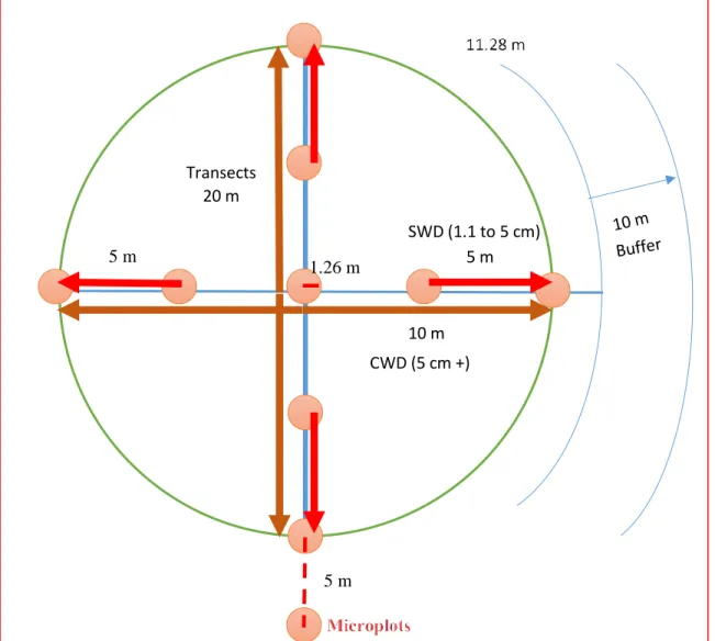 Figure 7 : Representation of a sampling plot. Each circular sampling plots had two orthogonal transects for 
