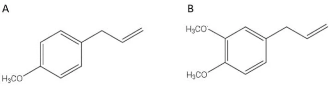Figure 8 . Composé organique aromatique appartenant à la famille des phénylpropènes, présent dans  l’huile du fenouil