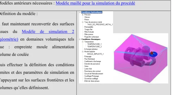 Figure 41.  Modèle de mise en données pour la simulation du procédé 