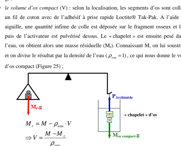 Figure 25. Principe du calcul du volume d'os compact en utilisant la poussée d'Archimède