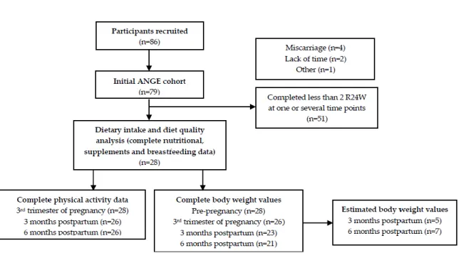 Figure 1. Flowchart of the study sample 