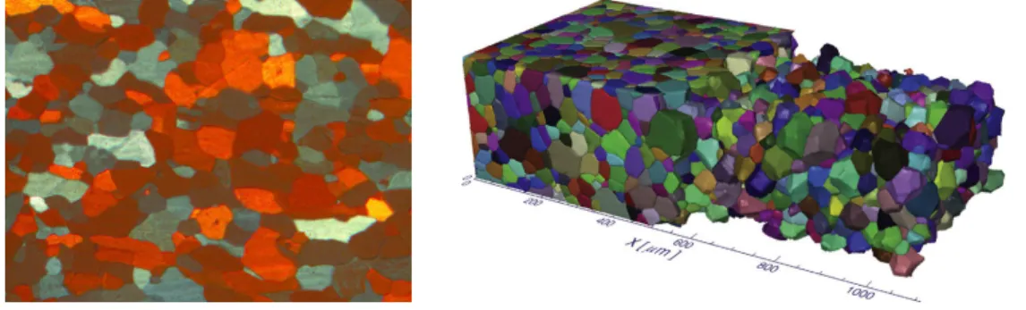Figure 1.1 – Grain microstructure of a AlLi 2.5wt recrystallized alloy revealed by polarized light microscopy (left) and reconstruction of 4380 grains in a 1115 × 516 × 300 µm 3 big volume of β-Ti alloy built from a stack of 200 serial sections