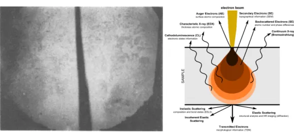 Figure 1.2 – One of the first image by an electron supermicroscope, a cotton thread magnified approximately 800× from [Ruska, 1934] (left), and the diagram of the interaction between electrons and matter (courtesy of Claudionico,  com-mons wiki).