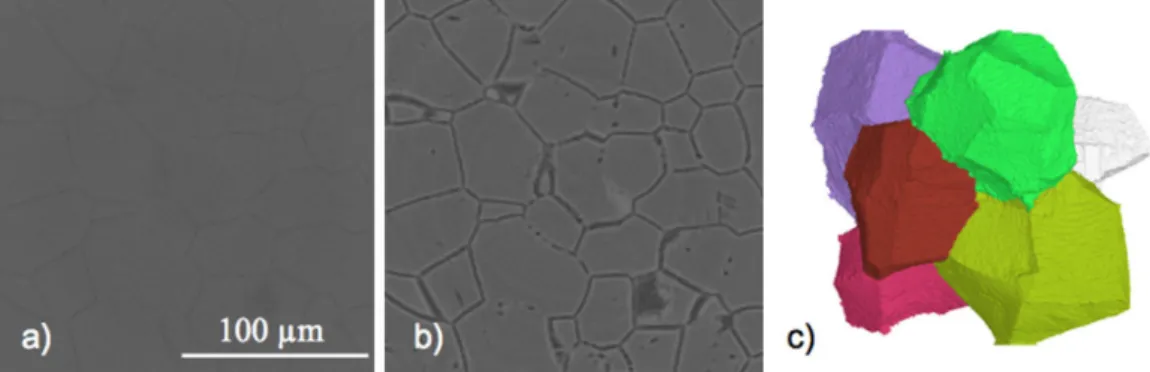 Figure 1.6 – Tomographic reconstruction in the absorption regime (a), and the phase contrast regime (b) of sample made from a metastable β-Ti alloy