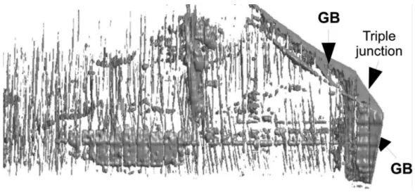 Figure 1.8 – 3D rendering of the dislocation structures within an ice tri-crystal, imaged by 3D-RCI, from [Philip et al., 2013].