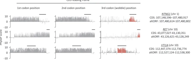 Figure 4. First, second, and third codon nucleotide PhyloP scores for 100 vertebrate species for the CDSs of the NTNG1, RET and VTI1A genes