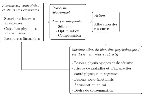 Figure 1. Processus décisionnel d’adaptation au vieillissement normal.