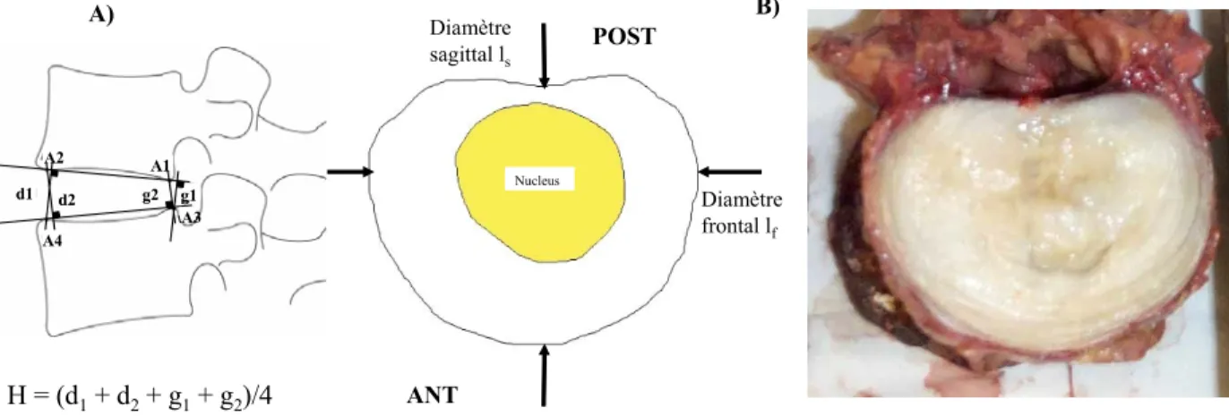 Figure 15     Mesures géométriques 
